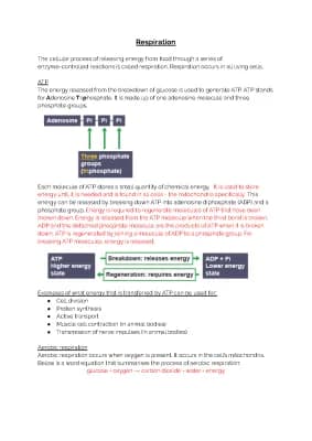 Know BIOLOGY 1.6 - Respiration  thumbnail