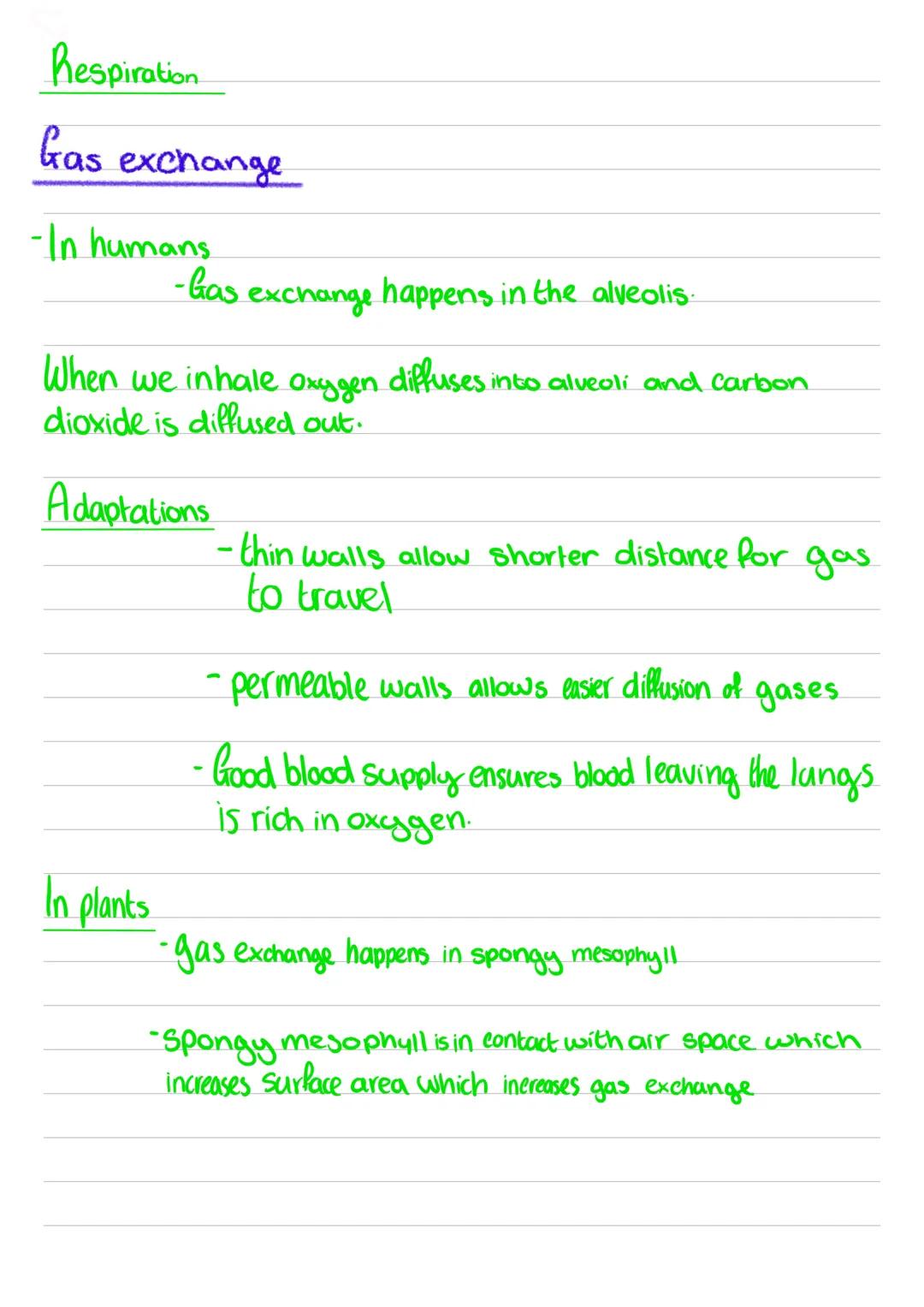 Summary of Respiration 