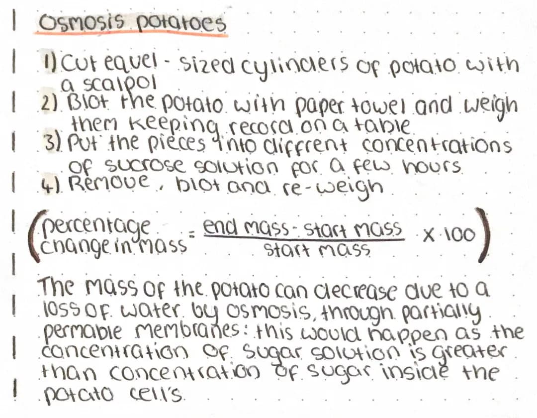 Fun with Potato Osmosis: Easy GCSE Practical for Kids!