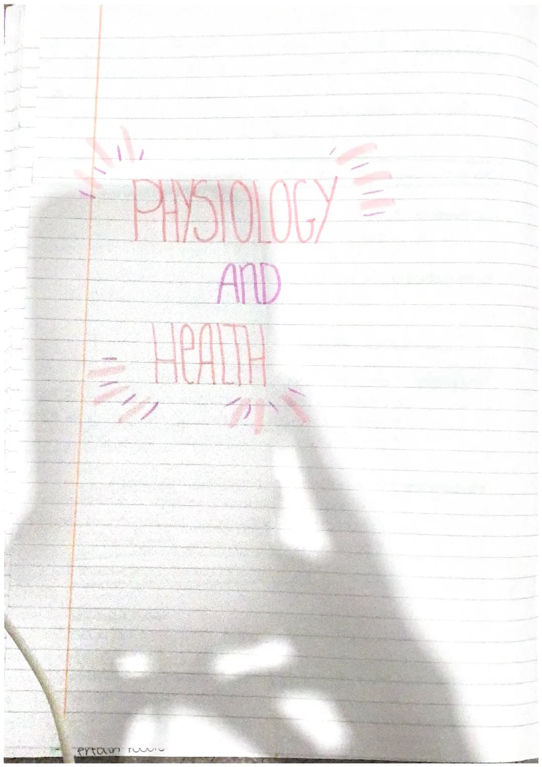unit two - higher human biology