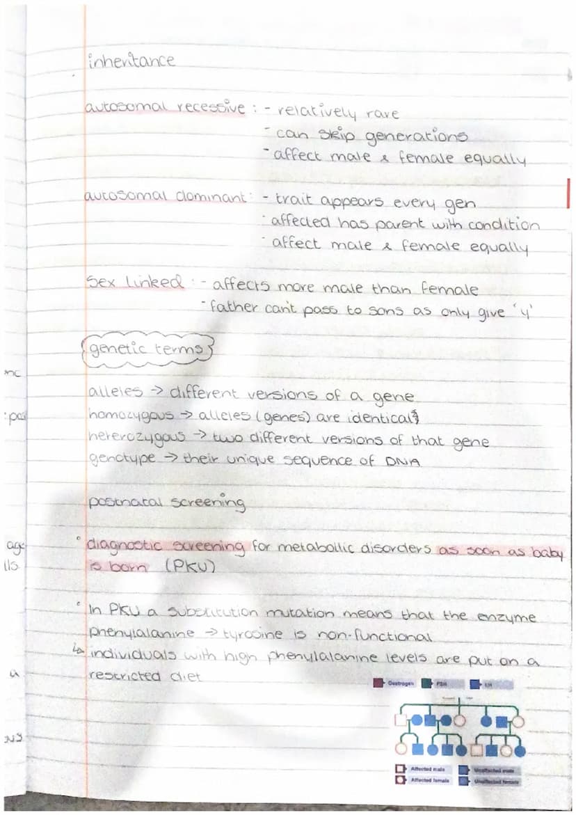 ertain ru
PHYSIOLOGY
AND
HEALTH gamete production and fertilisation
gamete production in testes
sperm are produced in the seminiferous tubul