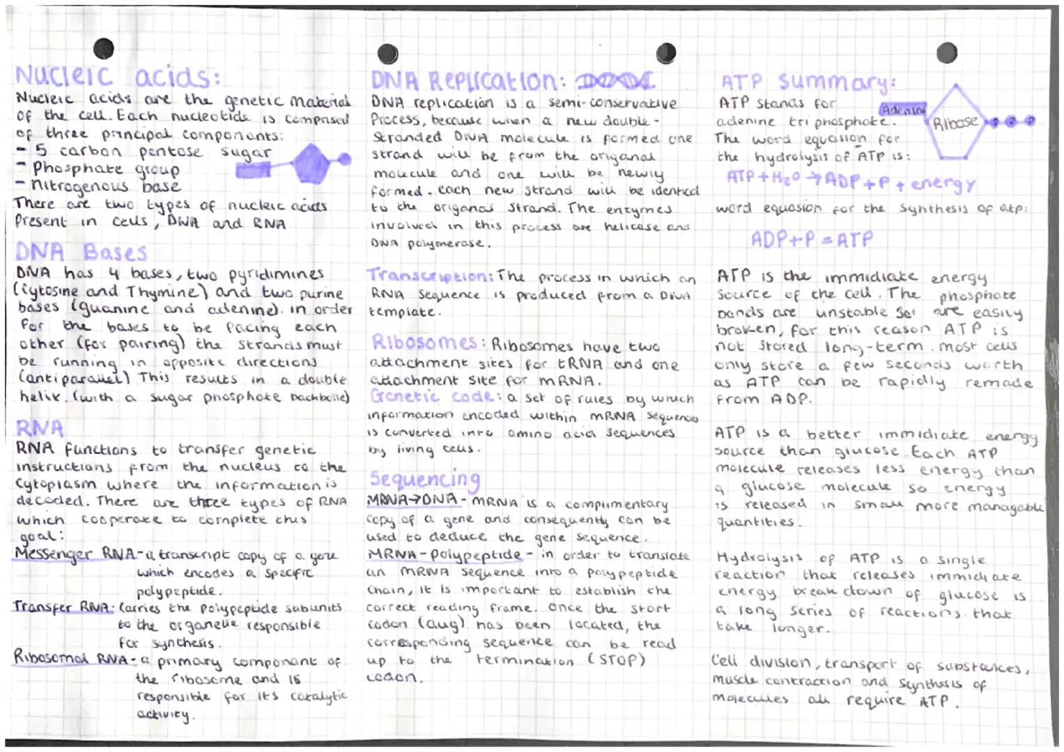 Nucleic acids:
Nucleic acids are the genetic material
of the cell. Each nucleotide is comprised
of three principal components:
- 5 carbon pe