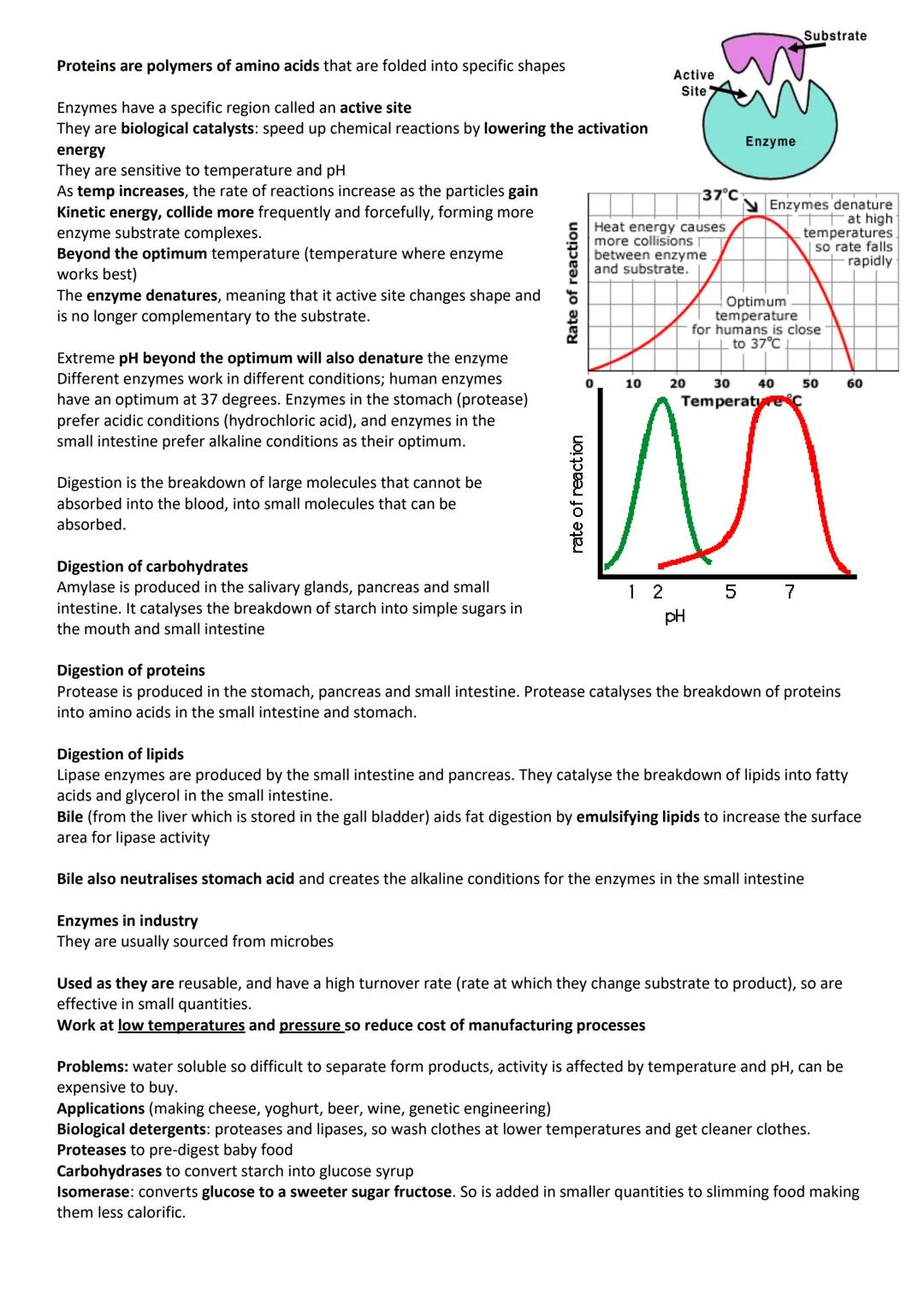 revise
with
harry
GCSE AQA
Biology Paper 1 & Paper 2
Year 11 revision: When looking at the following questions tick answer you are 100%
sure