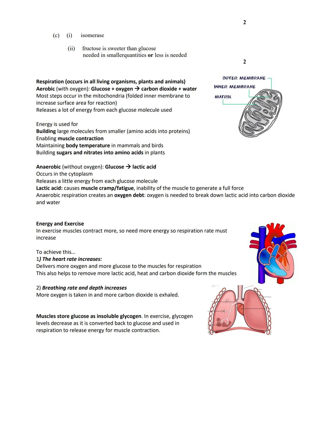 revise
with
harry
GCSE AQA
Biology Paper 1 & Paper 2
Year 11 revision: When looking at the following questions tick answer you are 100%
sure