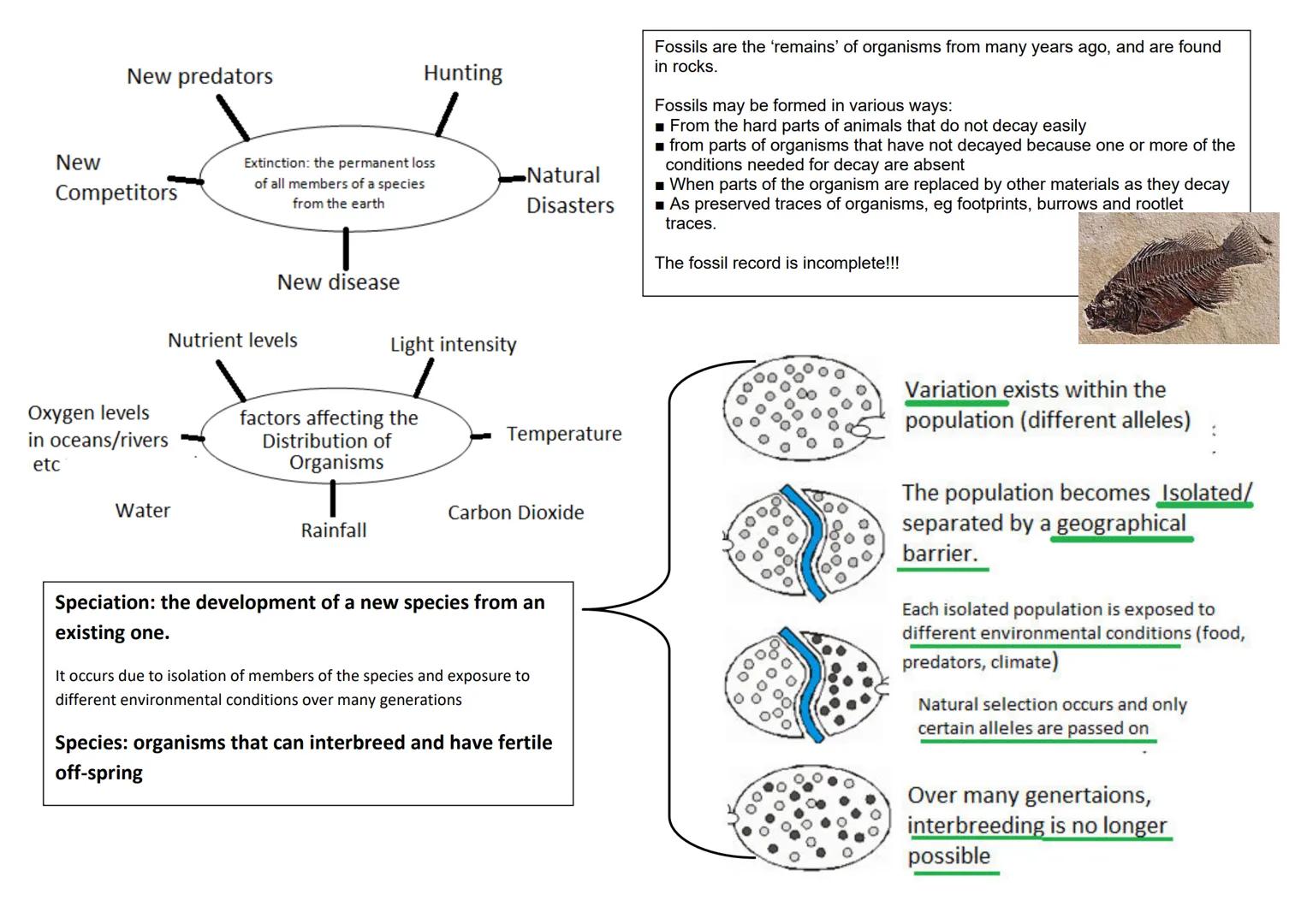 revise
with
harry
GCSE AQA
Biology Paper 1 & Paper 2
Year 11 revision: When looking at the following questions tick answer you are 100%
sure