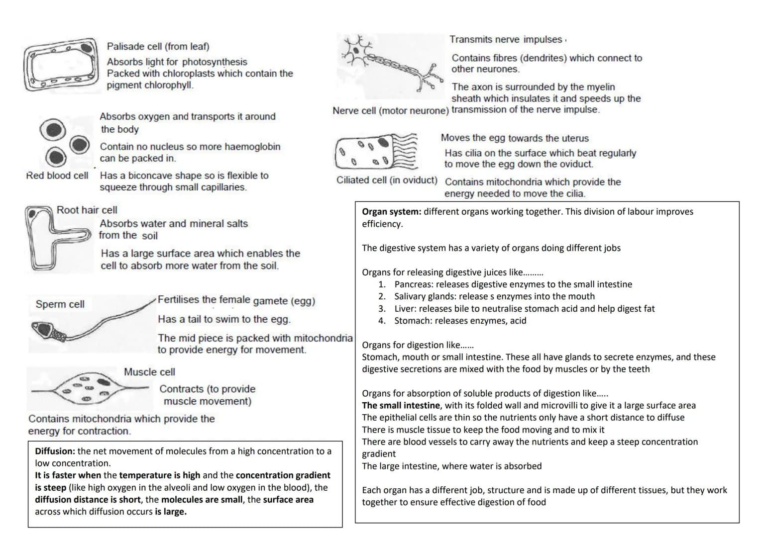 revise
with
harry
GCSE AQA
Biology Paper 1 & Paper 2
Year 11 revision: When looking at the following questions tick answer you are 100%
sure