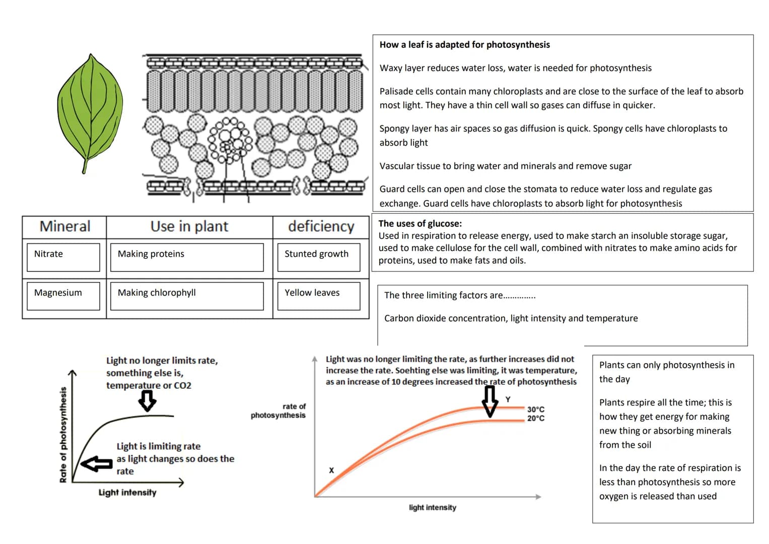 revise
with
harry
GCSE AQA
Biology Paper 1 & Paper 2
Year 11 revision: When looking at the following questions tick answer you are 100%
sure