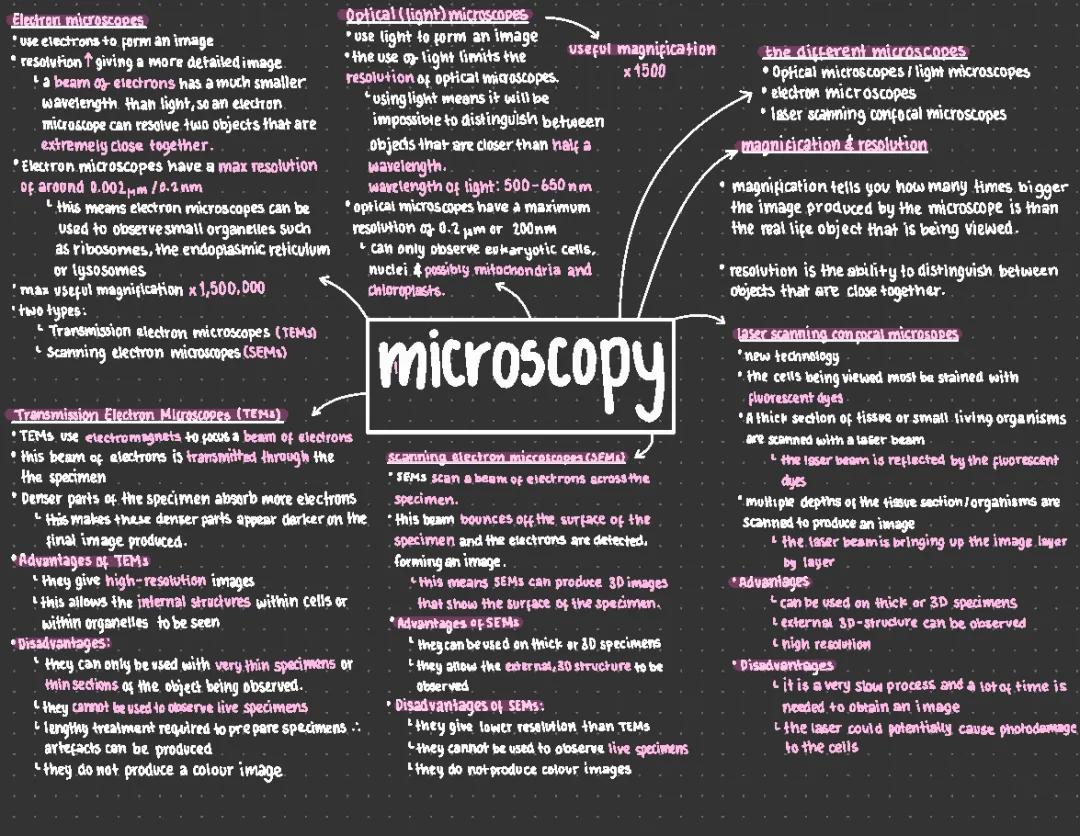 A-Level Biology Mind Maps: Microscopes and Evolution Notes