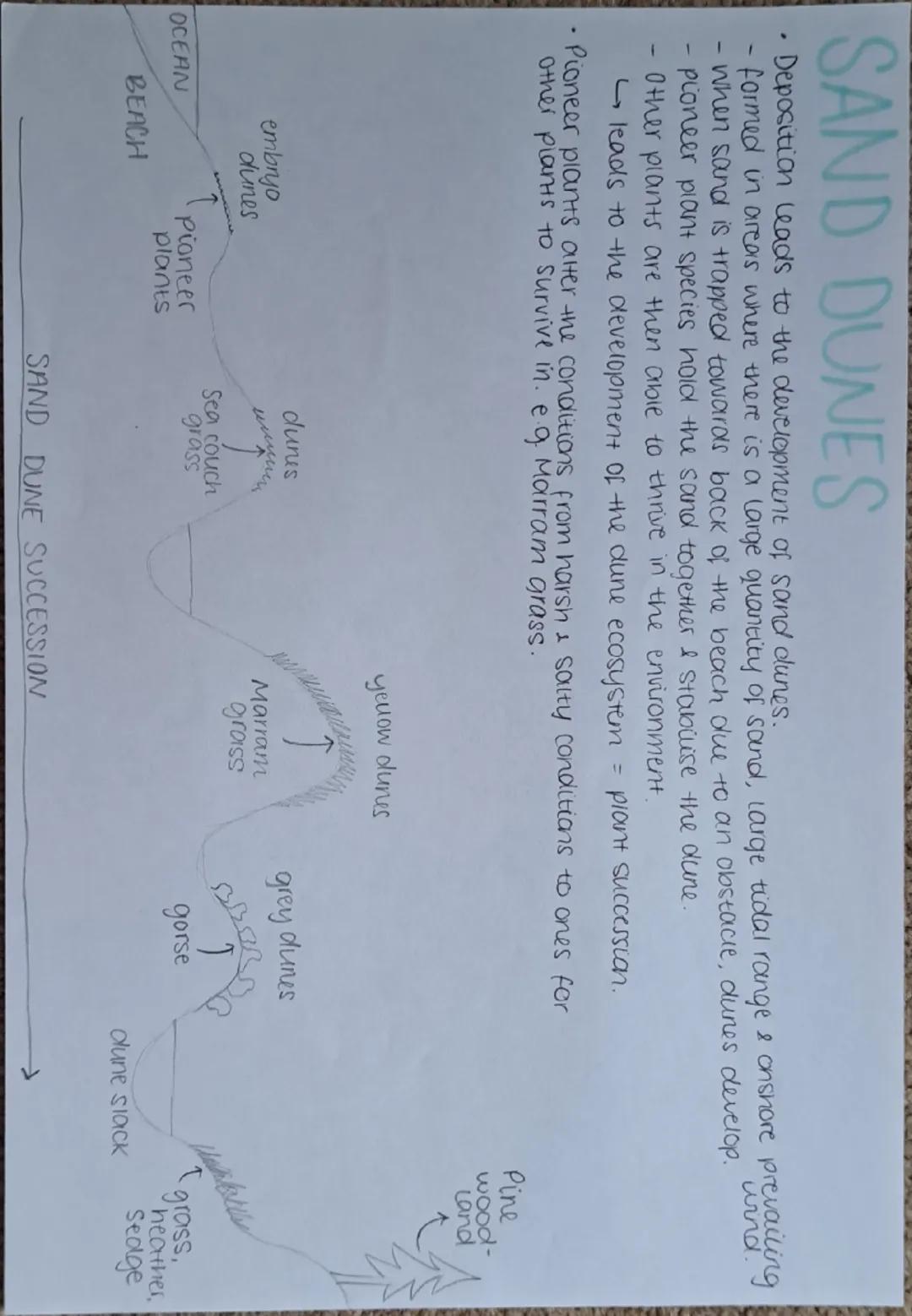 THE COASTAL SYSTEM
•The coast is considered as an open
System energy & matter flow in/out.
Coast spiel into sediment cells,
bordered by head