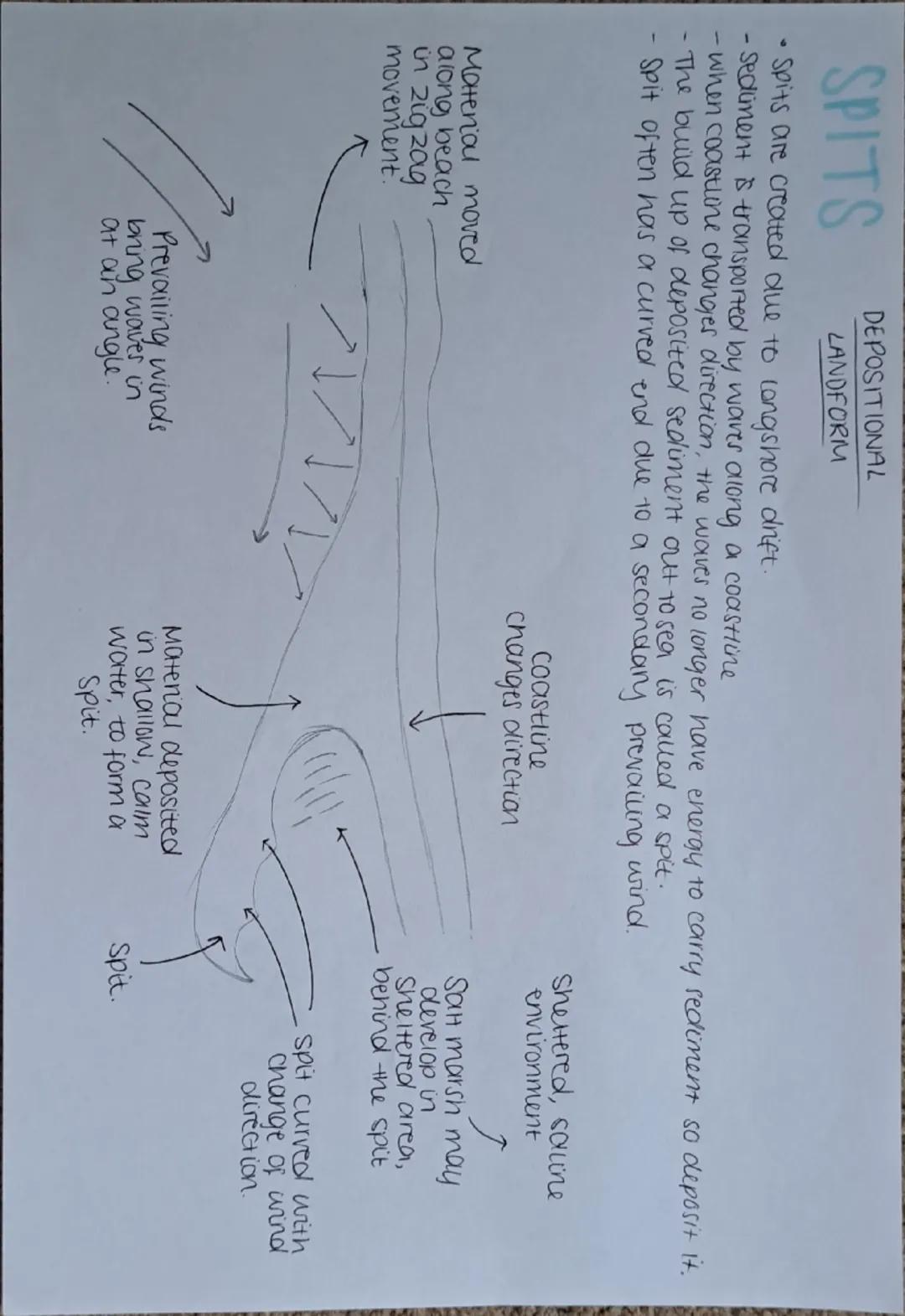 THE COASTAL SYSTEM
•The coast is considered as an open
System energy & matter flow in/out.
Coast spiel into sediment cells,
bordered by head