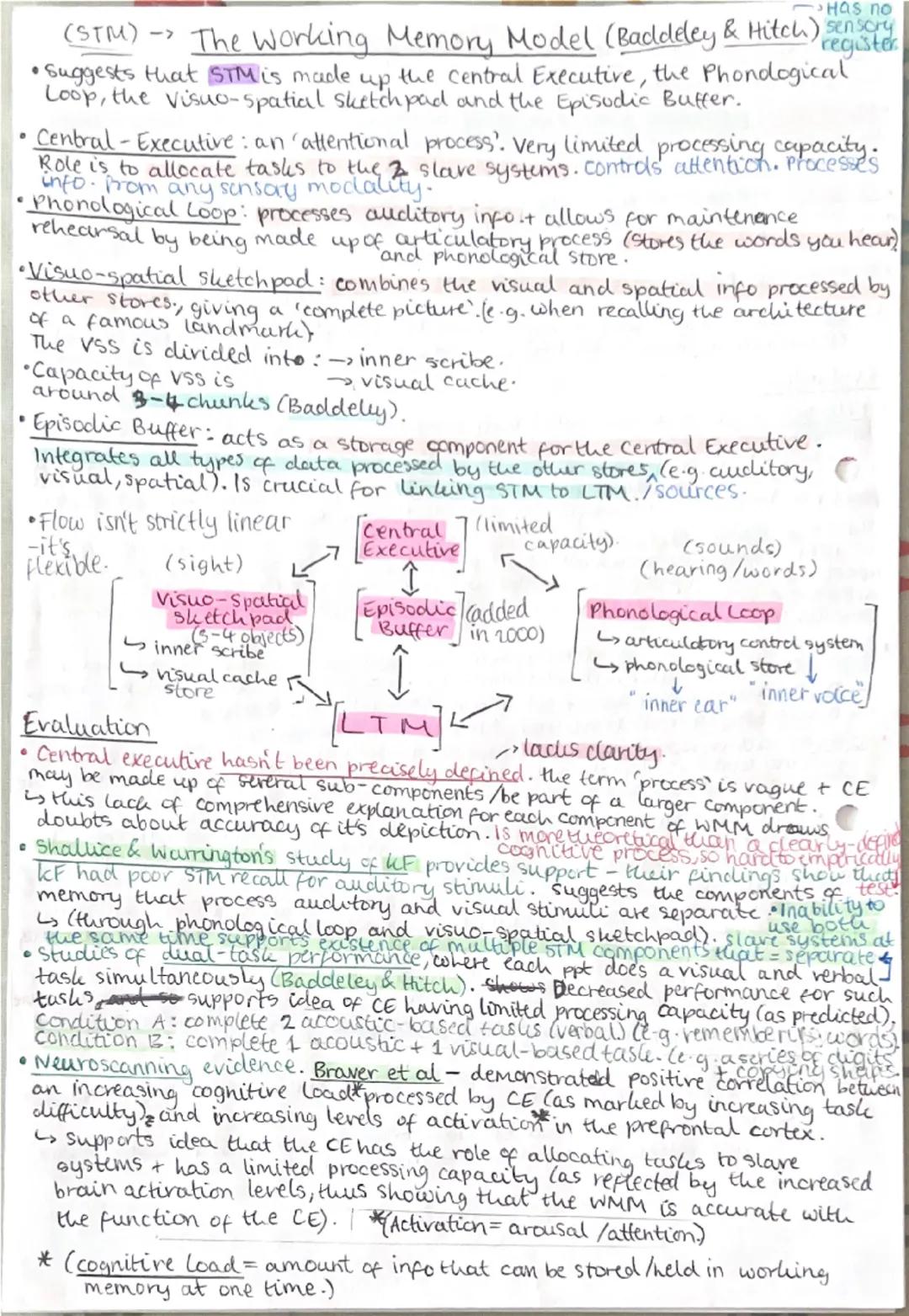 Memory
Coding, Capacity and Duration of Memory
•Coding: type of information stored in each memory store.
↳ short-term memory is accustic (so
