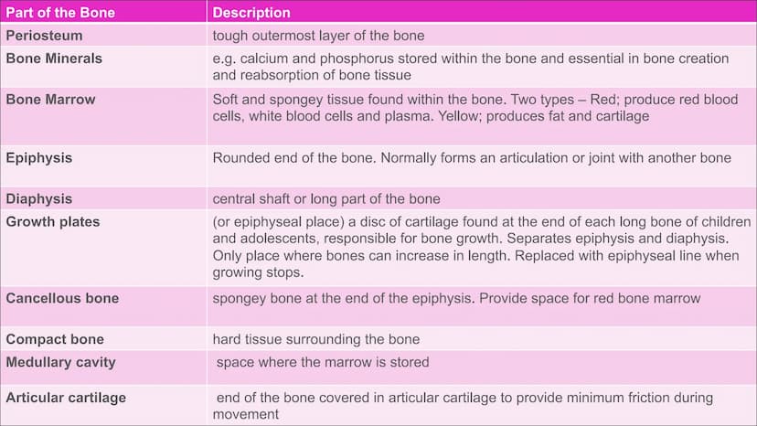 The Skeletal System
Aim - to understand the functions of the skeletal system and know
the name of the bones. Functions of the skeleton
Funct