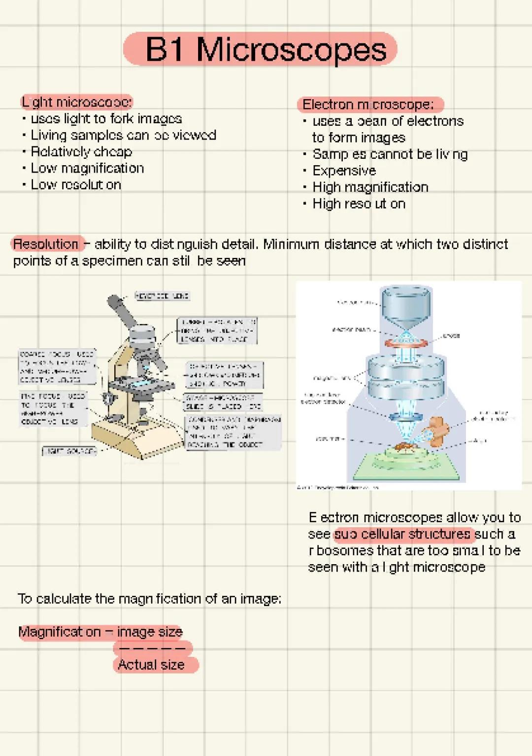 B1 microscopes - light and electron 