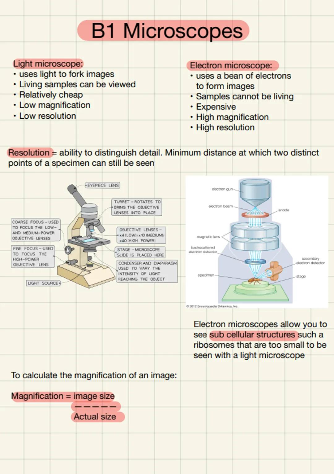 Light microscope:
• uses light to fork images
Living samples can be viewed
• Relatively cheap
• Low magnification
• Low resolution
COARSE FO
