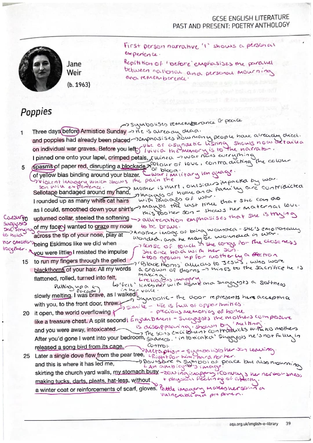 Poppies annotations