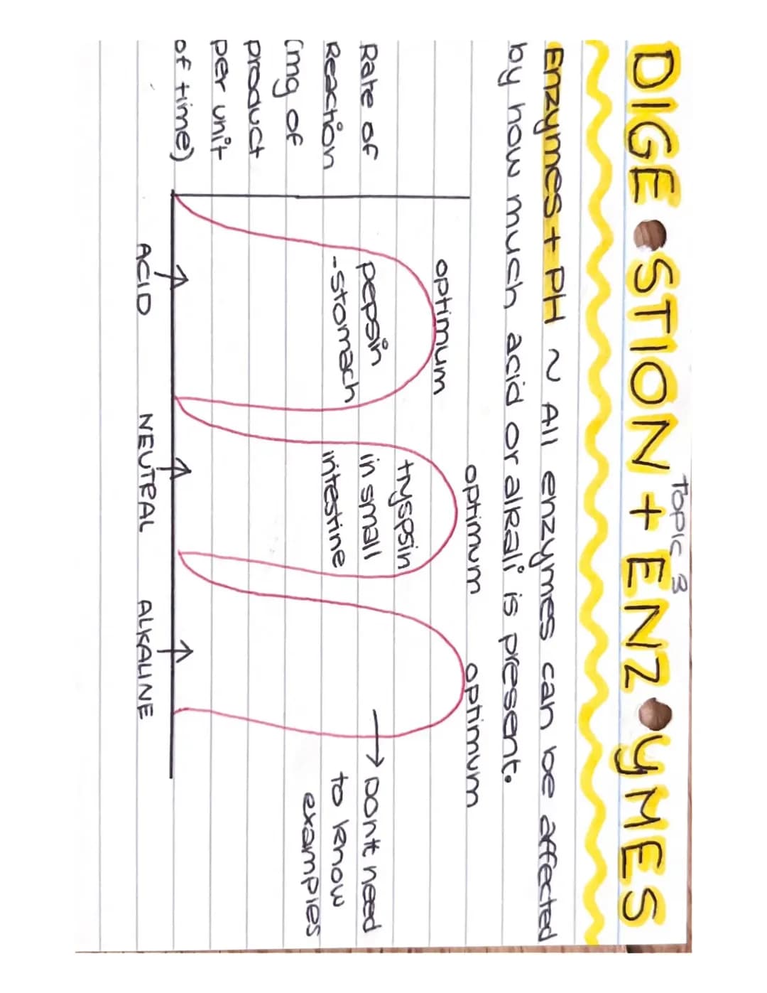 Understanding the Effect of pH and Temperature on Enzyme Activity: Practical Guides and Experiments