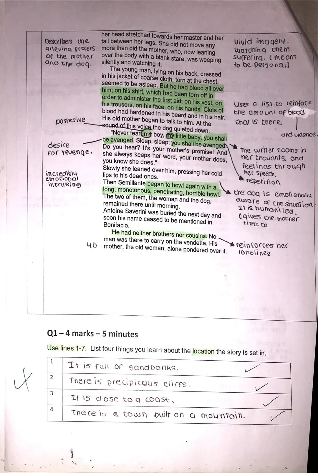 Name: Lucia
Paper 1 Practice : A VENDETTA
Source A: The opening of a short story called 'A Vendetta' by Guy de
Maupassant.
The widow of Paol