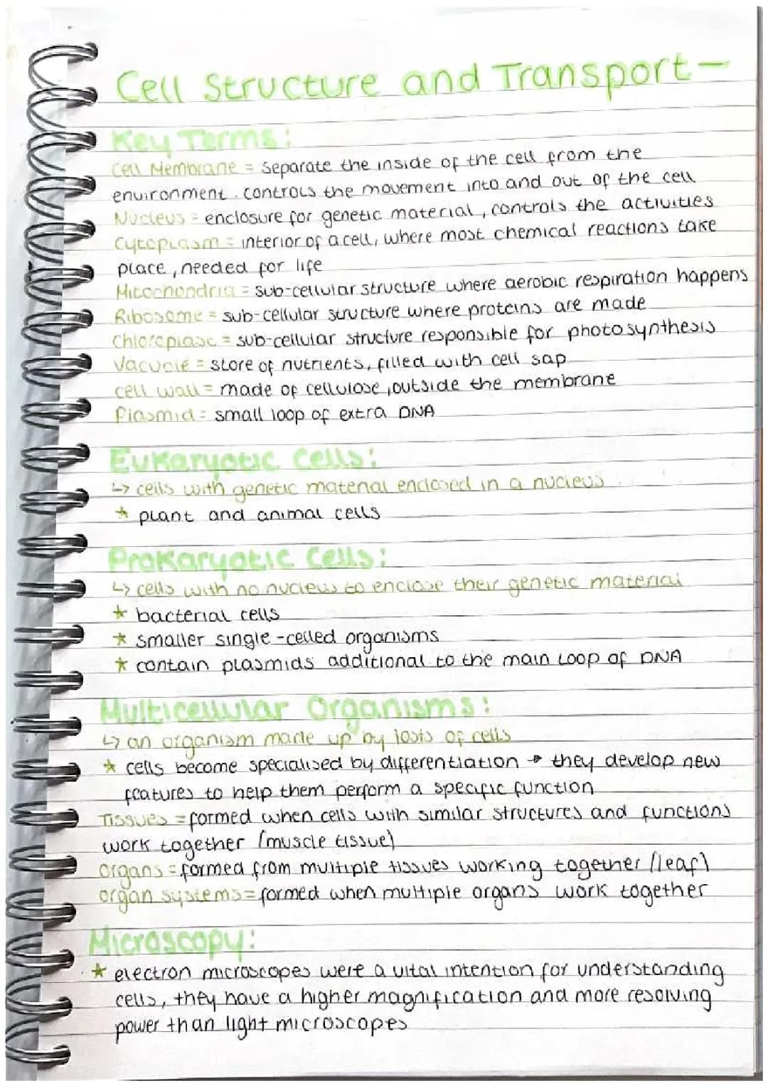 10 Differences Between Plant and Animal Cells for Kids - Diagrams, Microscopes, and Cell Transport!