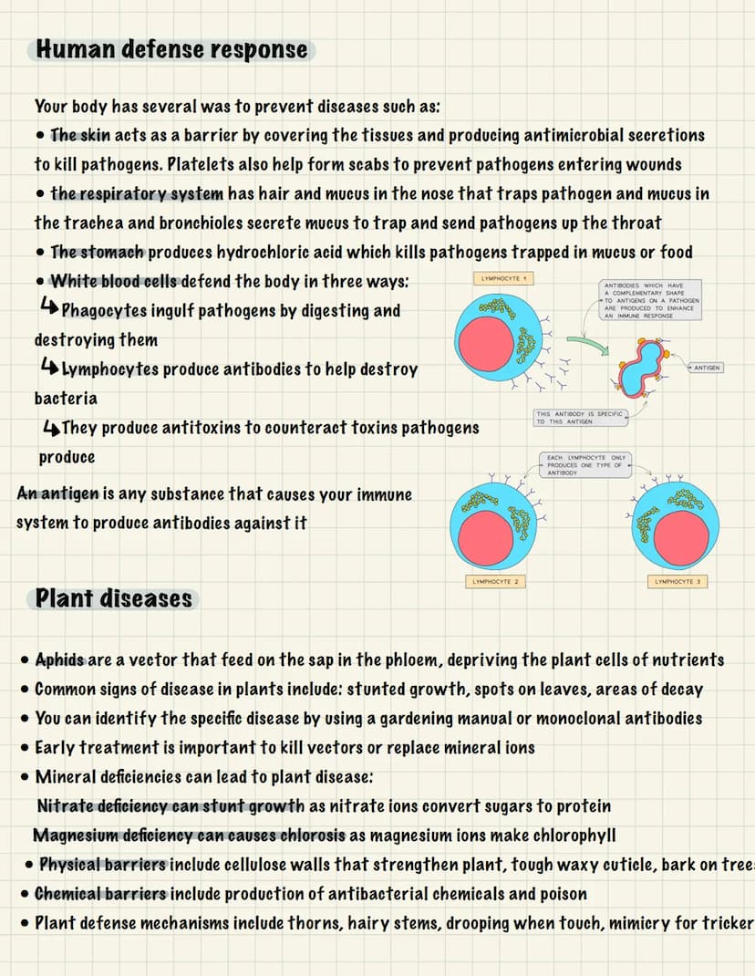 Communicable diseases (B5):
Health & disease
• Health-state of physical and mental well-being
• Non-communicable diseases- can't be transmit