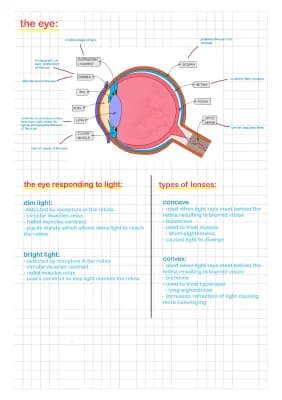 Know the eye thumbnail