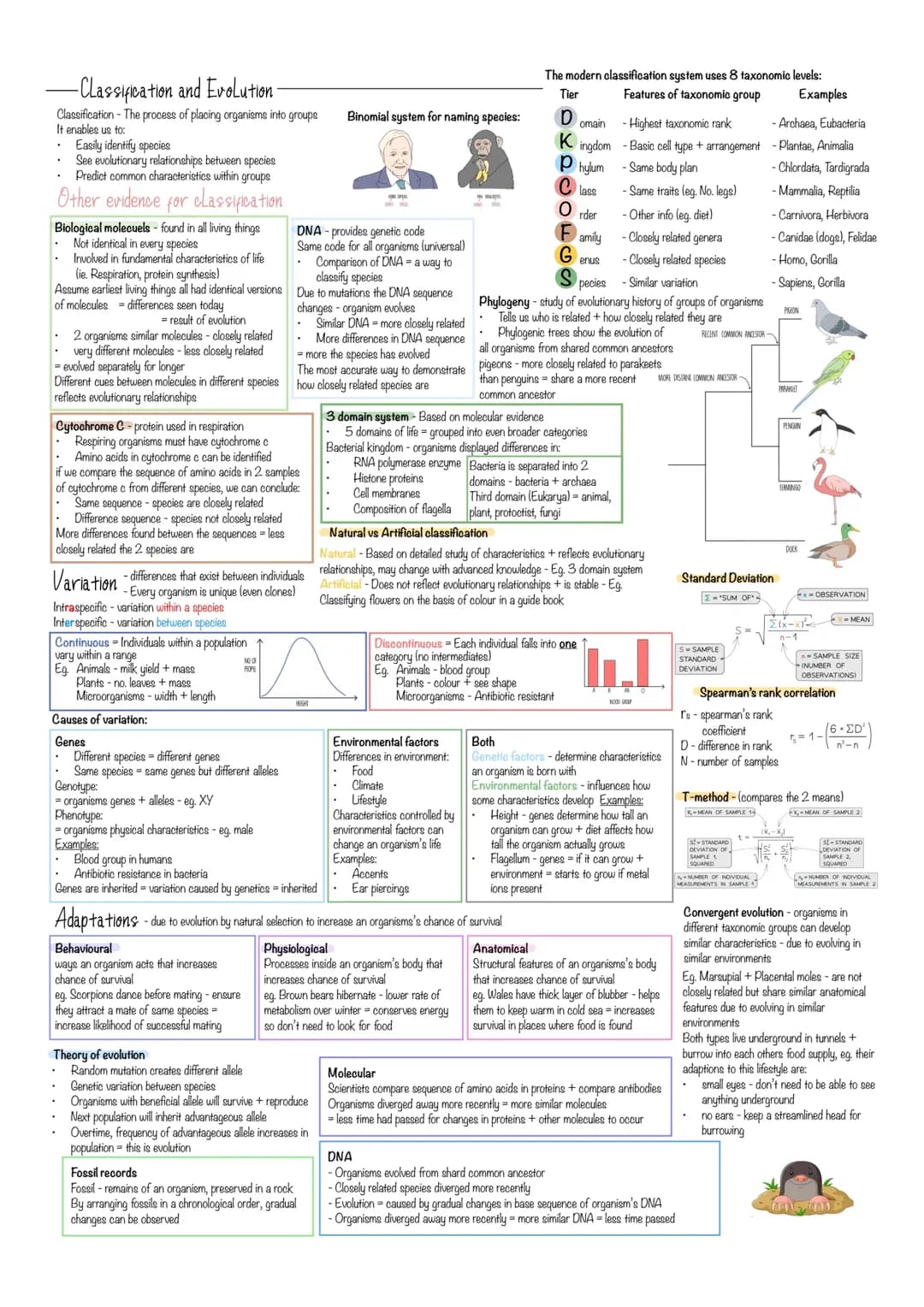 Biology Classification + Evolution Revision Notes