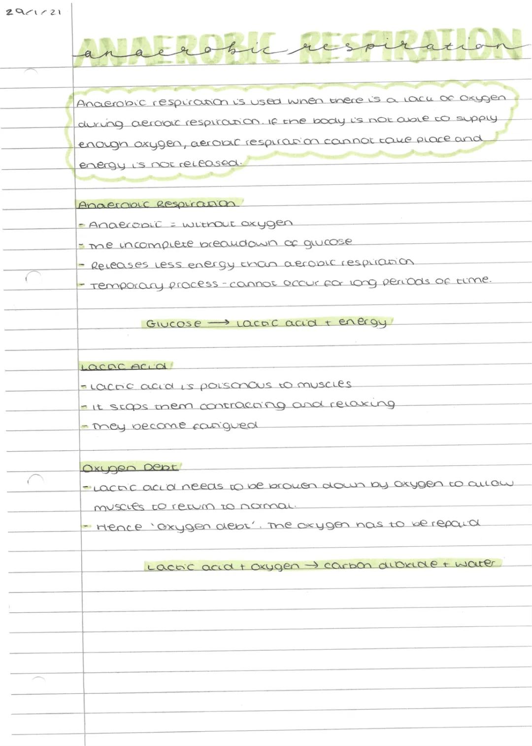 Anaerobic Respiration Notes 