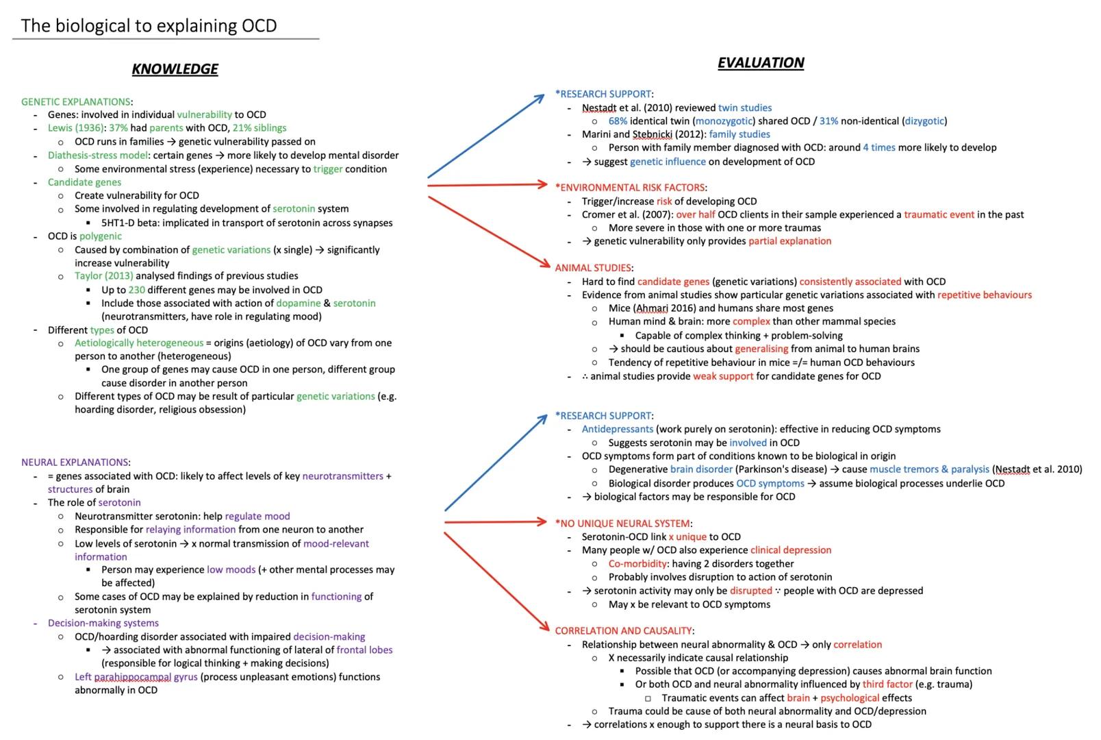 The biological to explaining OCD
KNOWLEDGE
GENETIC EXPLANATIONS:
Genes: involved in individual vulnerability to OCD
Lewis (1936): 37% had pa