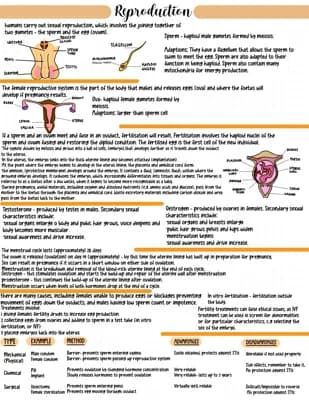 Know CCEA GCSE biology - Reproduction thumbnail