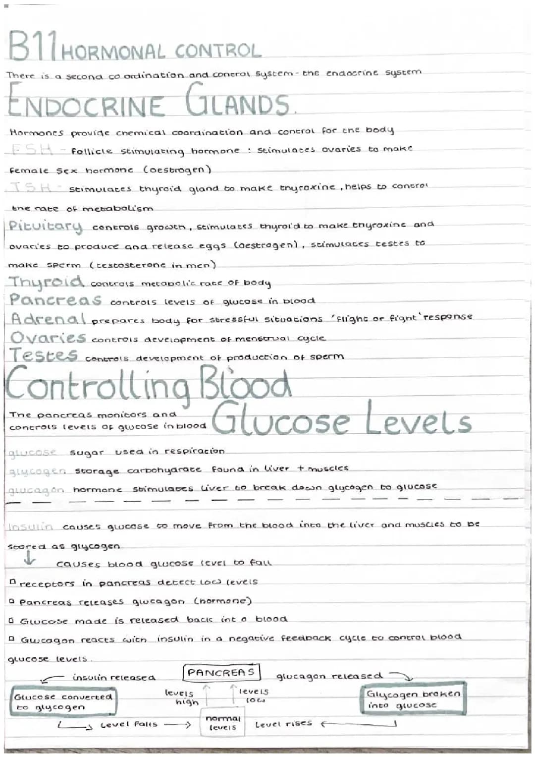 Understanding Hormonal Control in Biology: A Comprehensive Guide