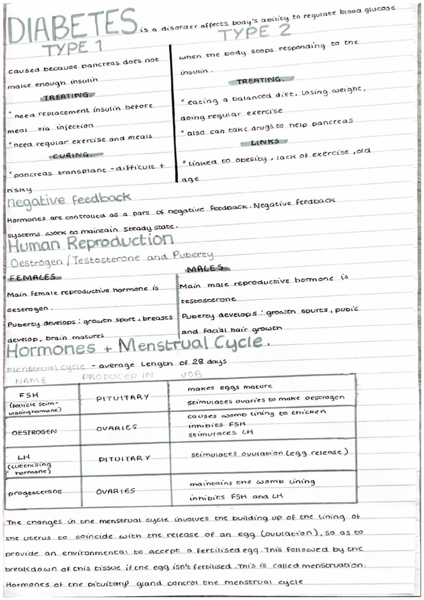 
<p>The endocrine system is the second coordination and control system in the body. It is responsible for chemical coordination and control 