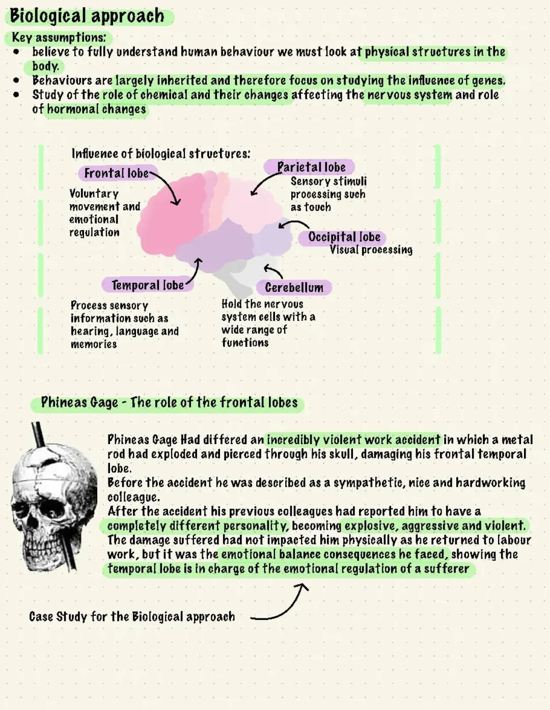 Biological Psychology: Case Studies and Brain Myths