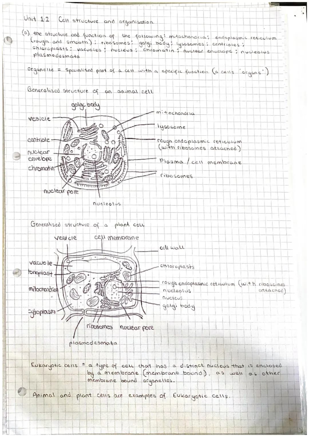 Unit 12
Cell structure and organisation.
(a) the structure and function of the following: mitochondria; endoplasmic reticulum
(rough and smo