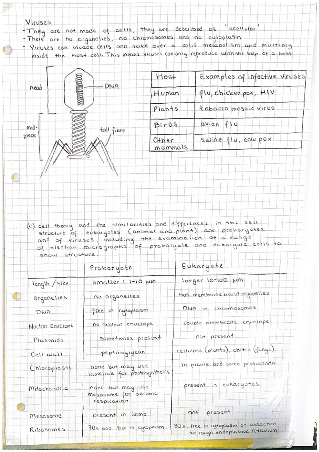 Unit 12
Cell structure and organisation.
(a) the structure and function of the following: mitochondria; endoplasmic reticulum
(rough and smo