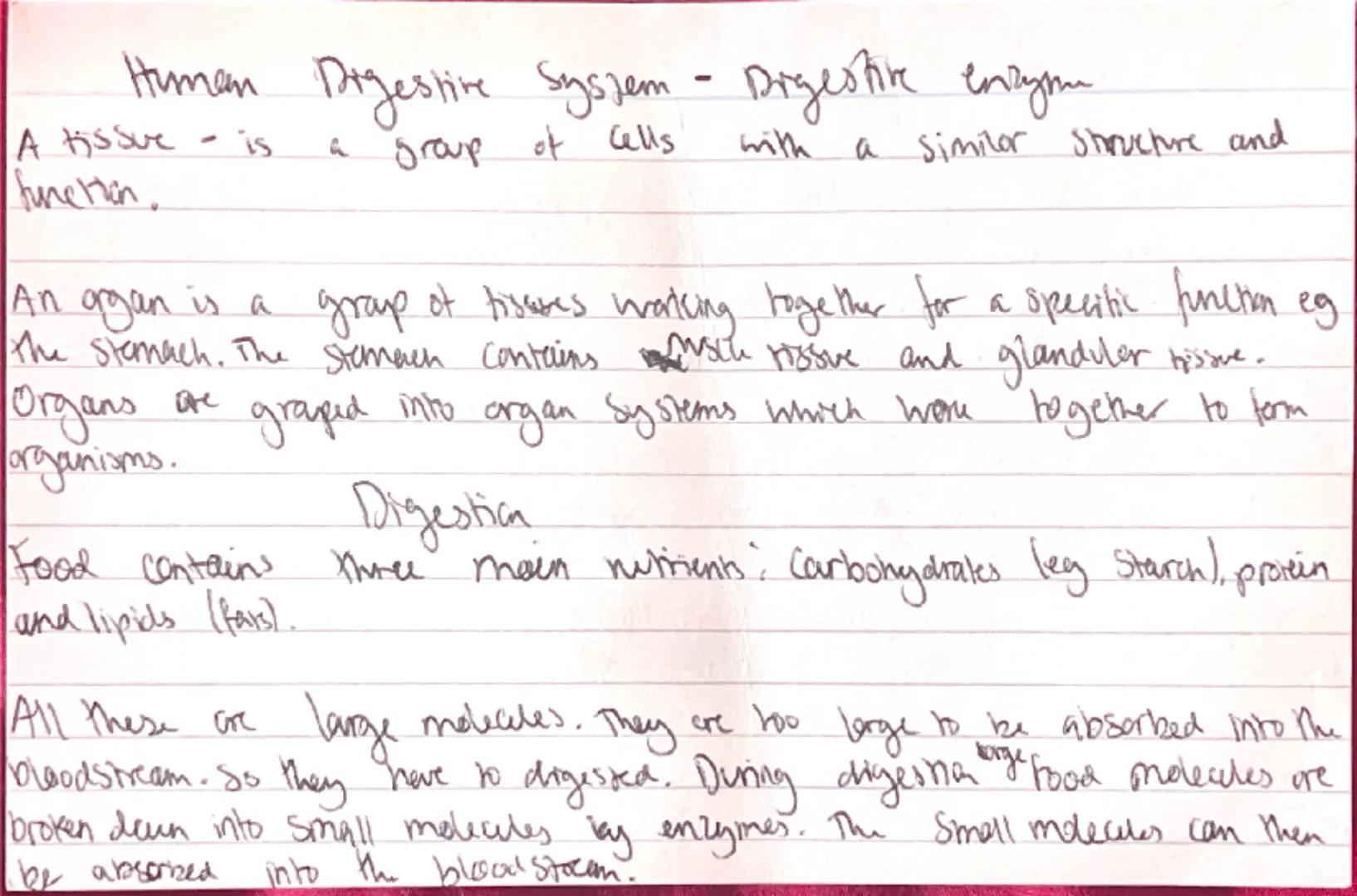 --- OCR Start ---
Lever
through coughs/
Measus-Virus, shin, transmissed through
sheezes, can be treated with vaccine.
HIV = Vins, flu sympio