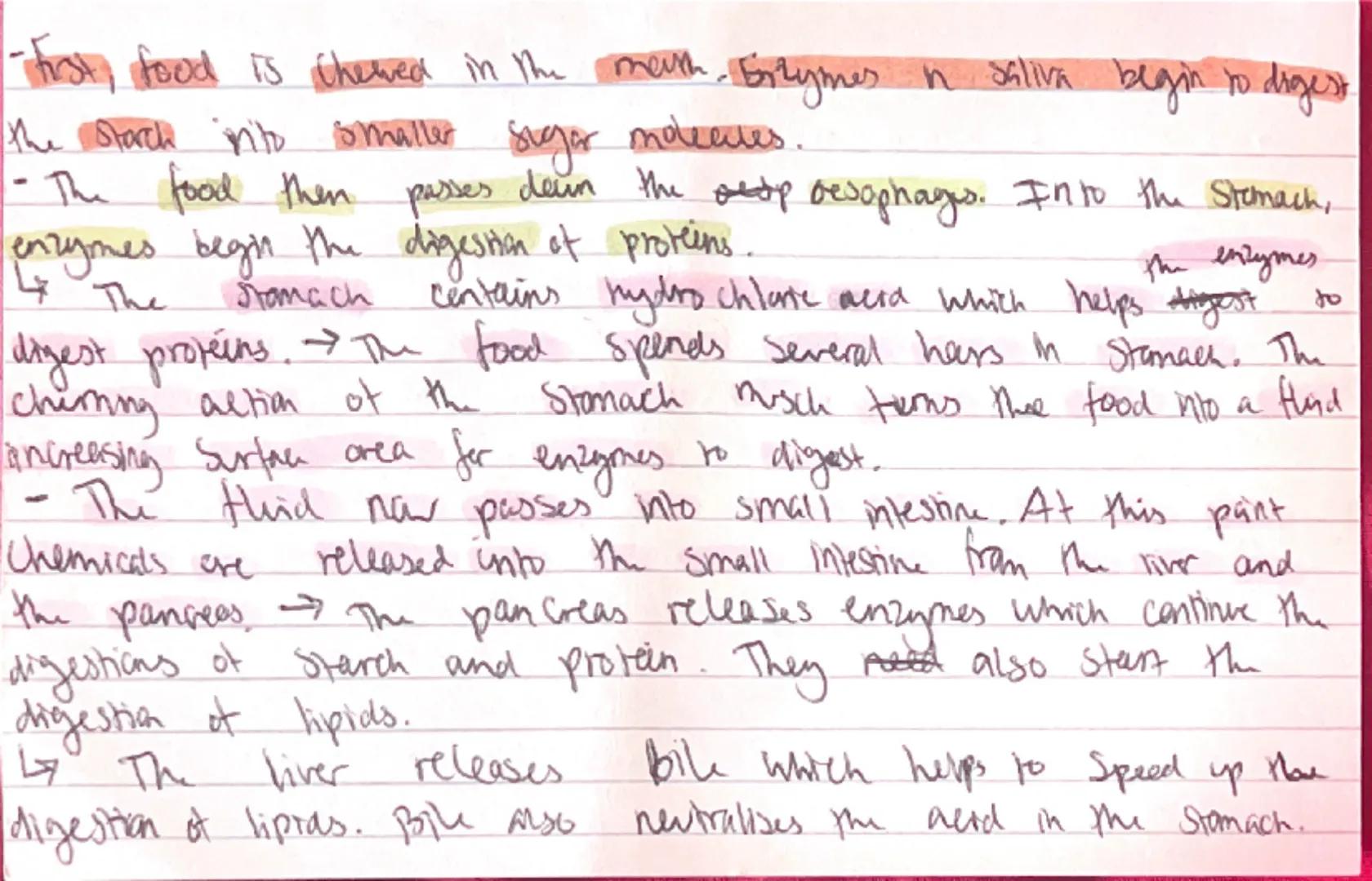 --- OCR Start ---
Lever
through coughs/
Measus-Virus, shin, transmissed through
sheezes, can be treated with vaccine.
HIV = Vins, flu sympio
