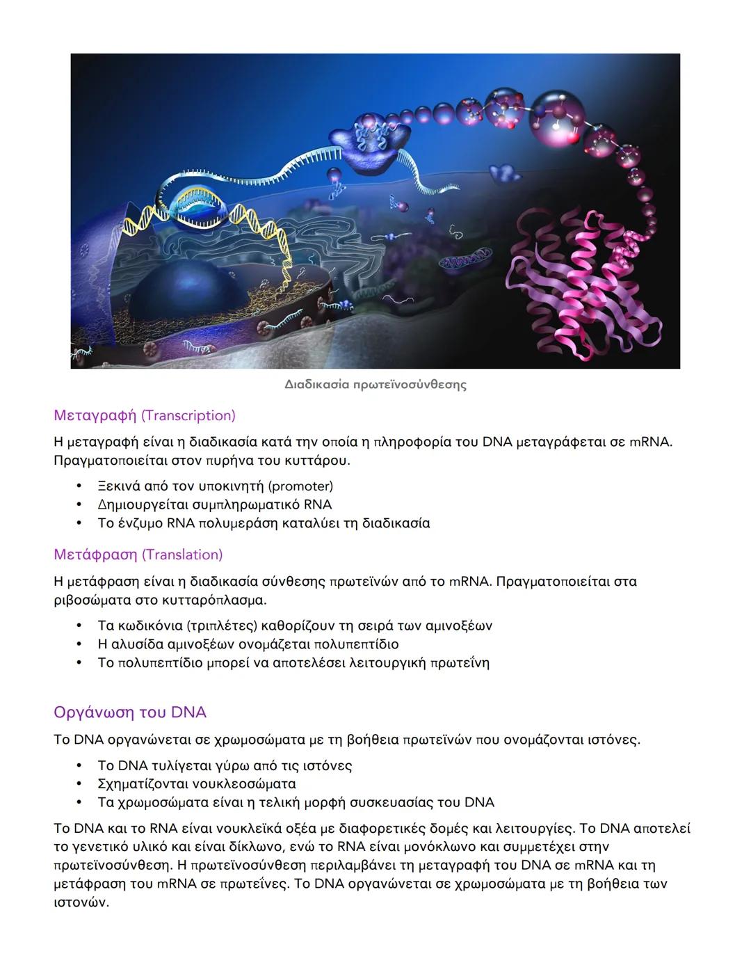 # Διαφορές DNA και RNA - Δομή και Λειτουργία

Βασικές Διαφορές DNA και RNA

Το DNA (Δεσοξυριβονουκλεϊκό οξύ) και το RNA (Ριβονουκλεϊκό οξύ) 