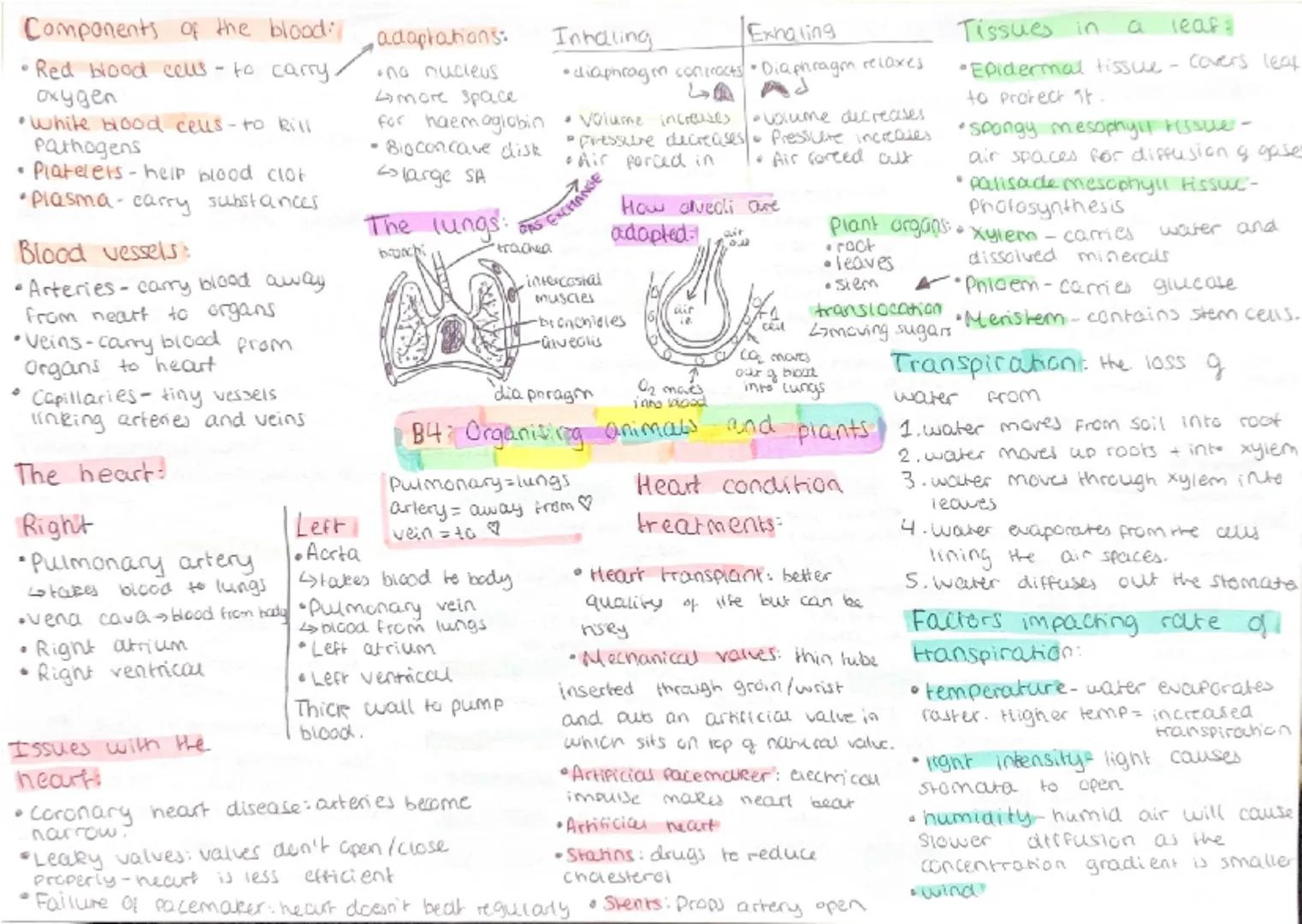Components of the blood:/
•Red blood cells to carry,
Oxygen
•White blood cells- to kill
Pathogens
• Platelets-help blood clot
•Plasma-carry 