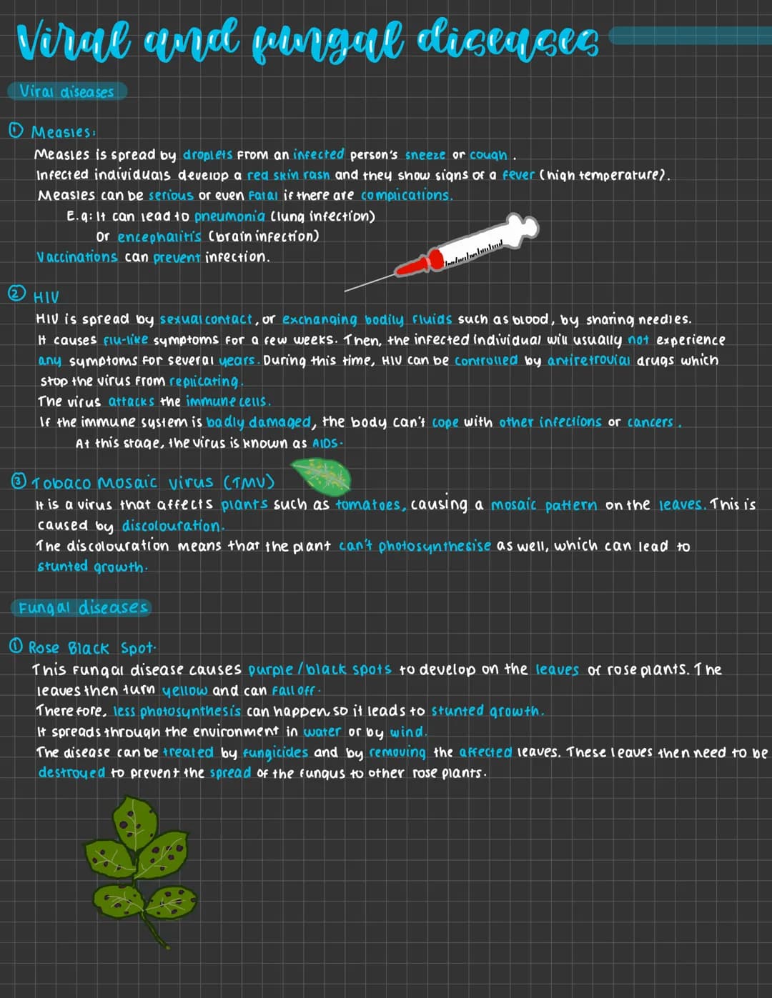 Viral and fungal diseases
Viral diseases
Measies:
Measles is spread by droplets from an infected person's sneeze or cough.
Infected individu