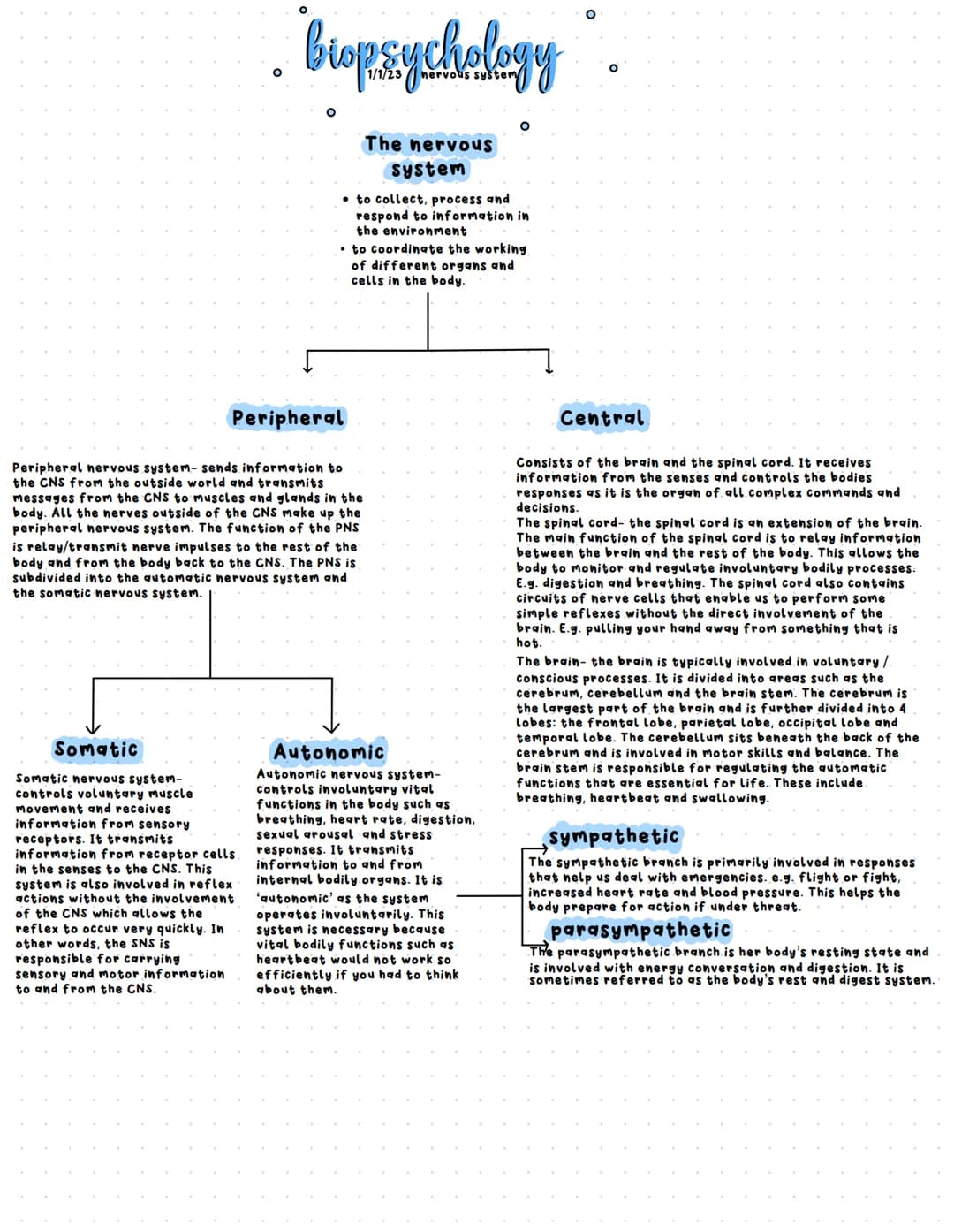 as biopsych notes - detailed