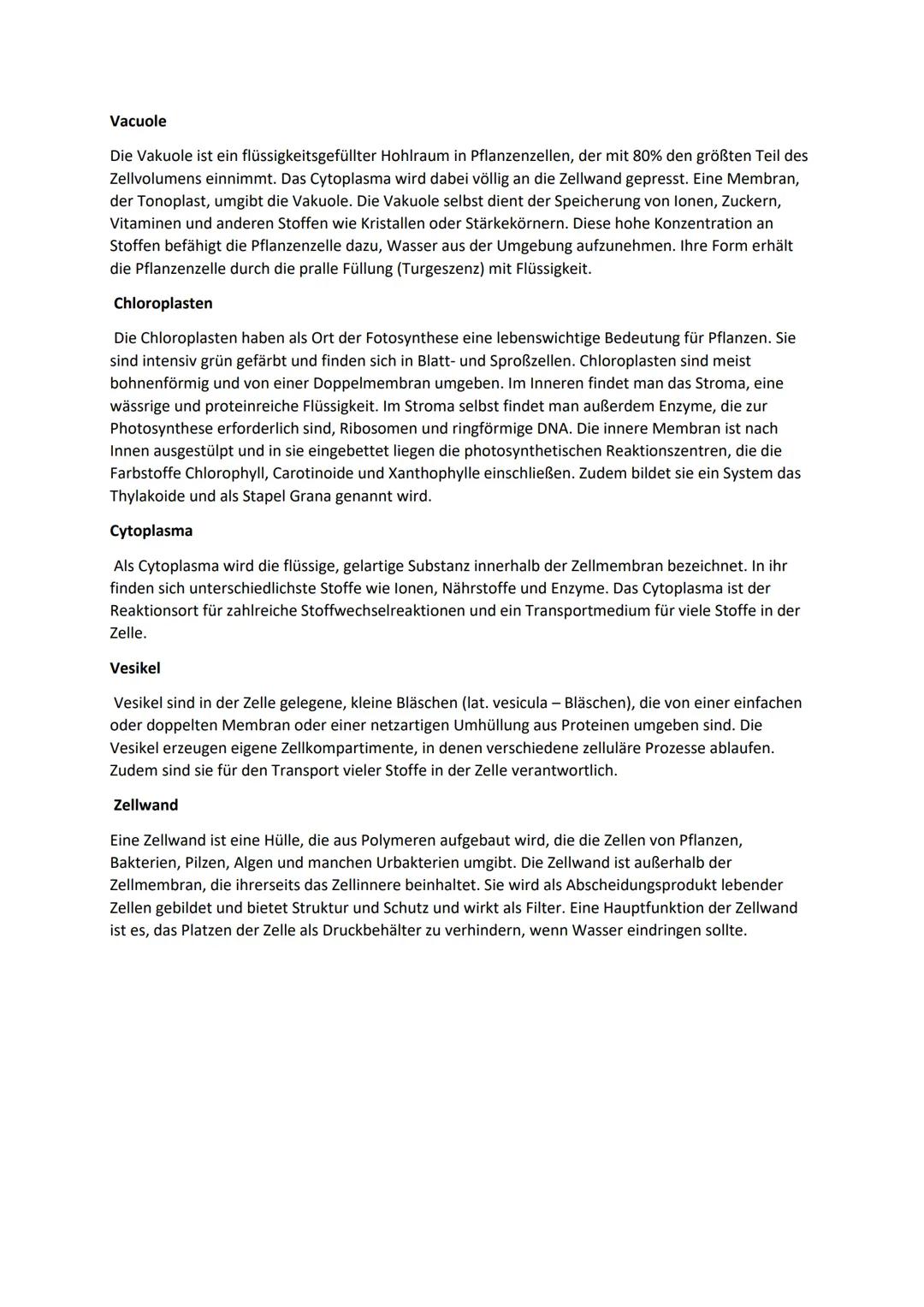 # Struktur und Funktion von Zellorganellen

Endoplasmatisches
Reticulum

Zellkern

Zellmembran

Mitochondrien

Golgi-Apparat

Zytoplasma

Ly