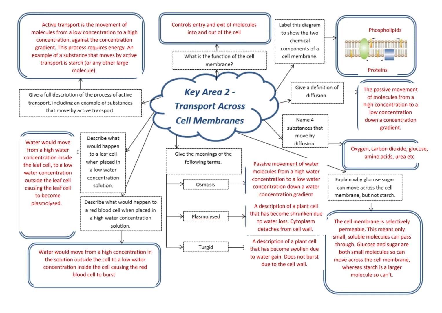 
<p>Active transport is the movement of molecules from a low concentration to a high concentration, against the concentration gradient. This