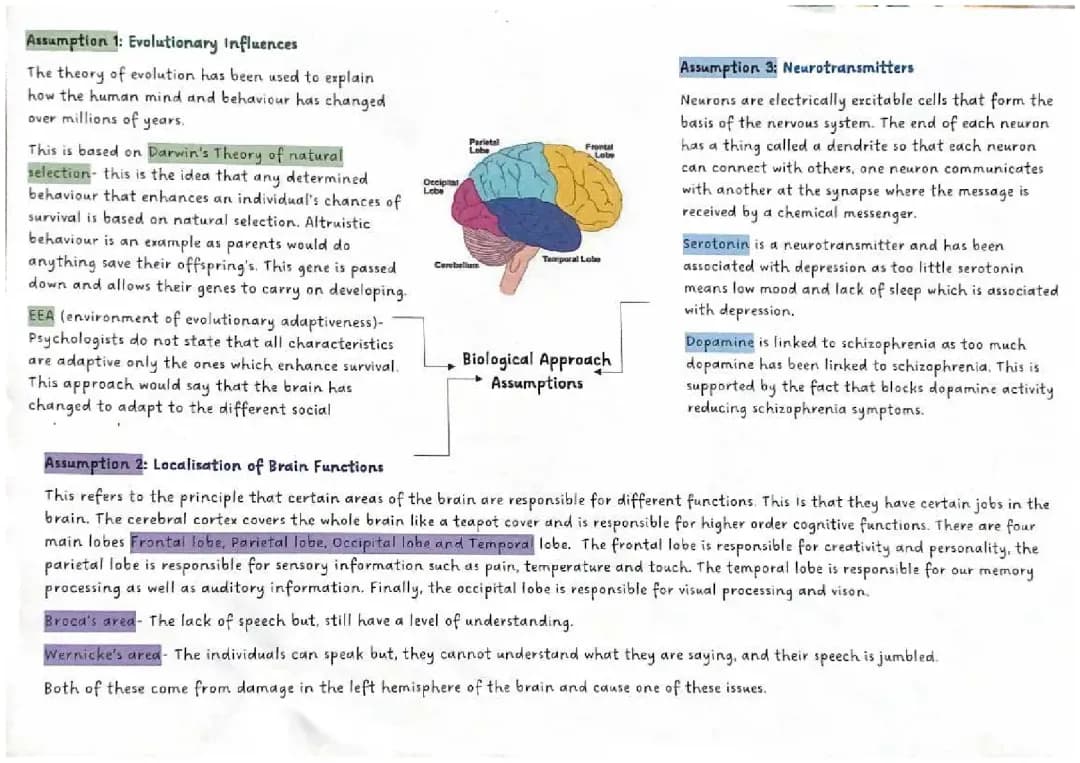 How Your Brain Works: Cool Science About Evolution, Depression, and Feelings!