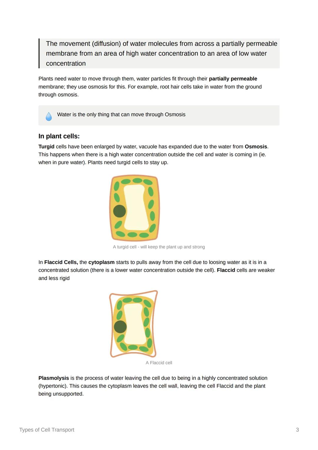 Types of Cell Transport
Created @December 11, 2021 11:56 AM
Tags
Substances must move in and out of cells. There are three processes that ac