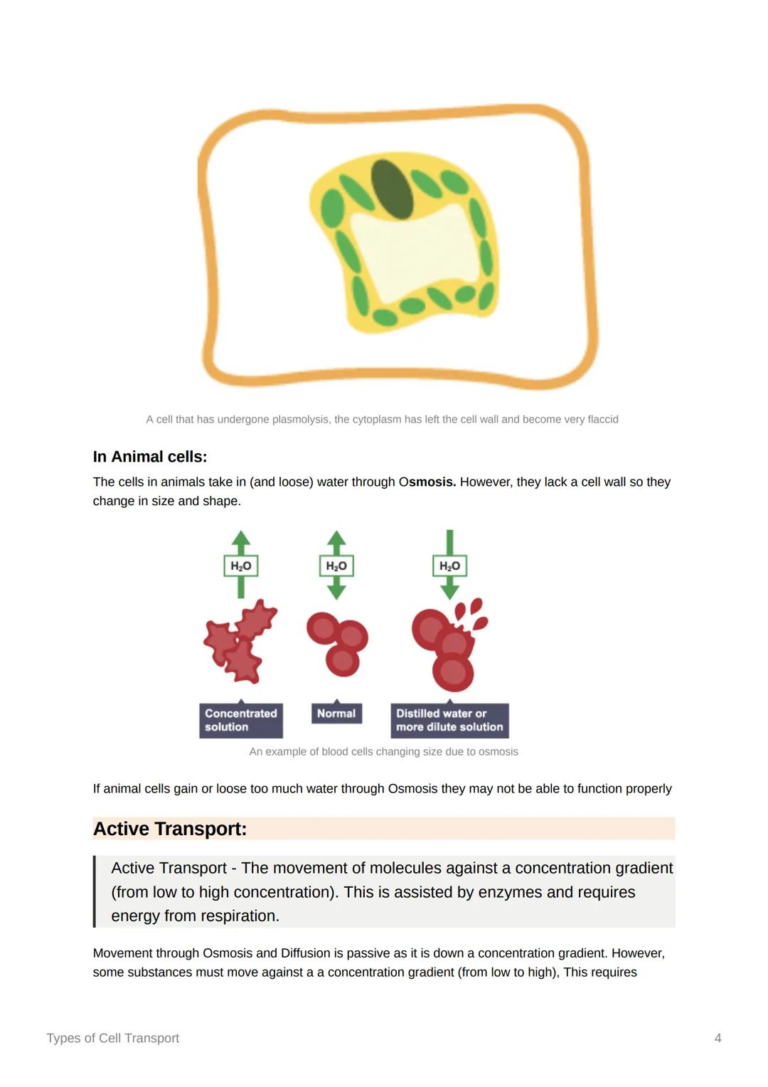 Types of Cell Transport
Created @December 11, 2021 11:56 AM
Tags
Substances must move in and out of cells. There are three processes that ac