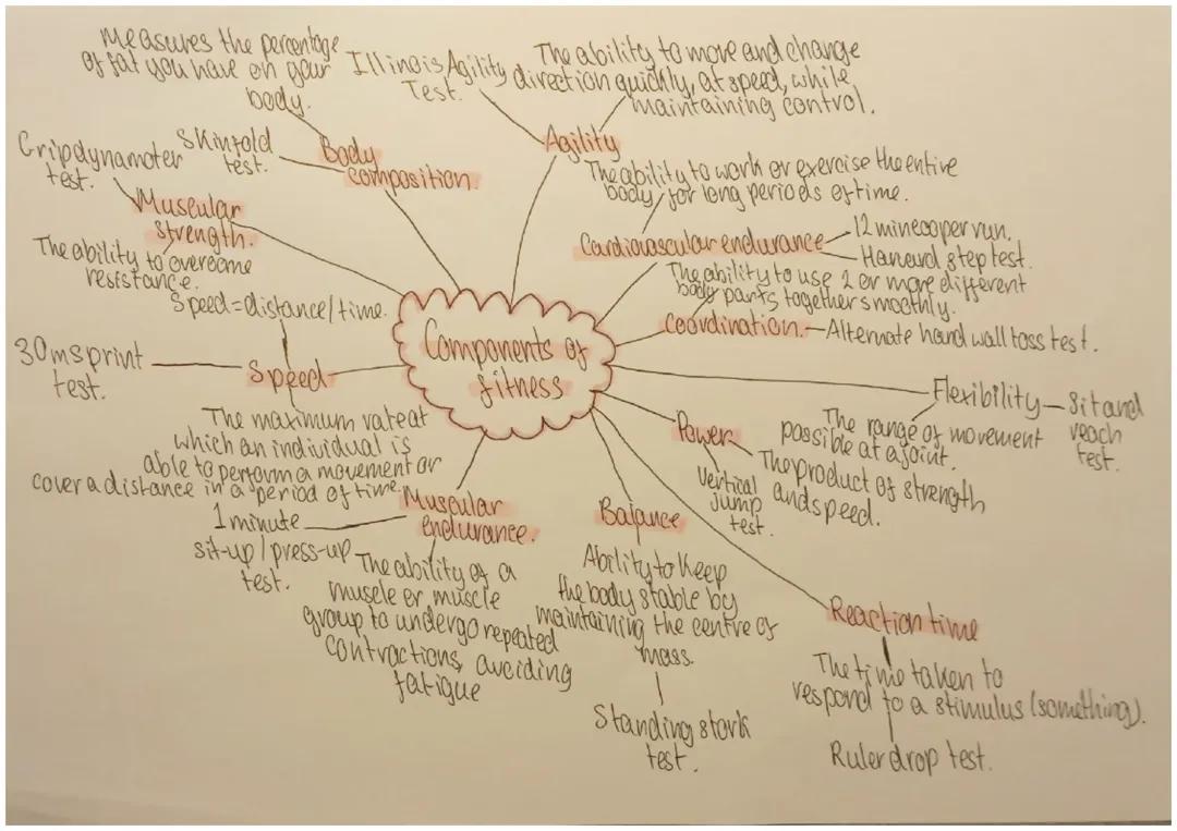 Understanding the Key Components of Fitness