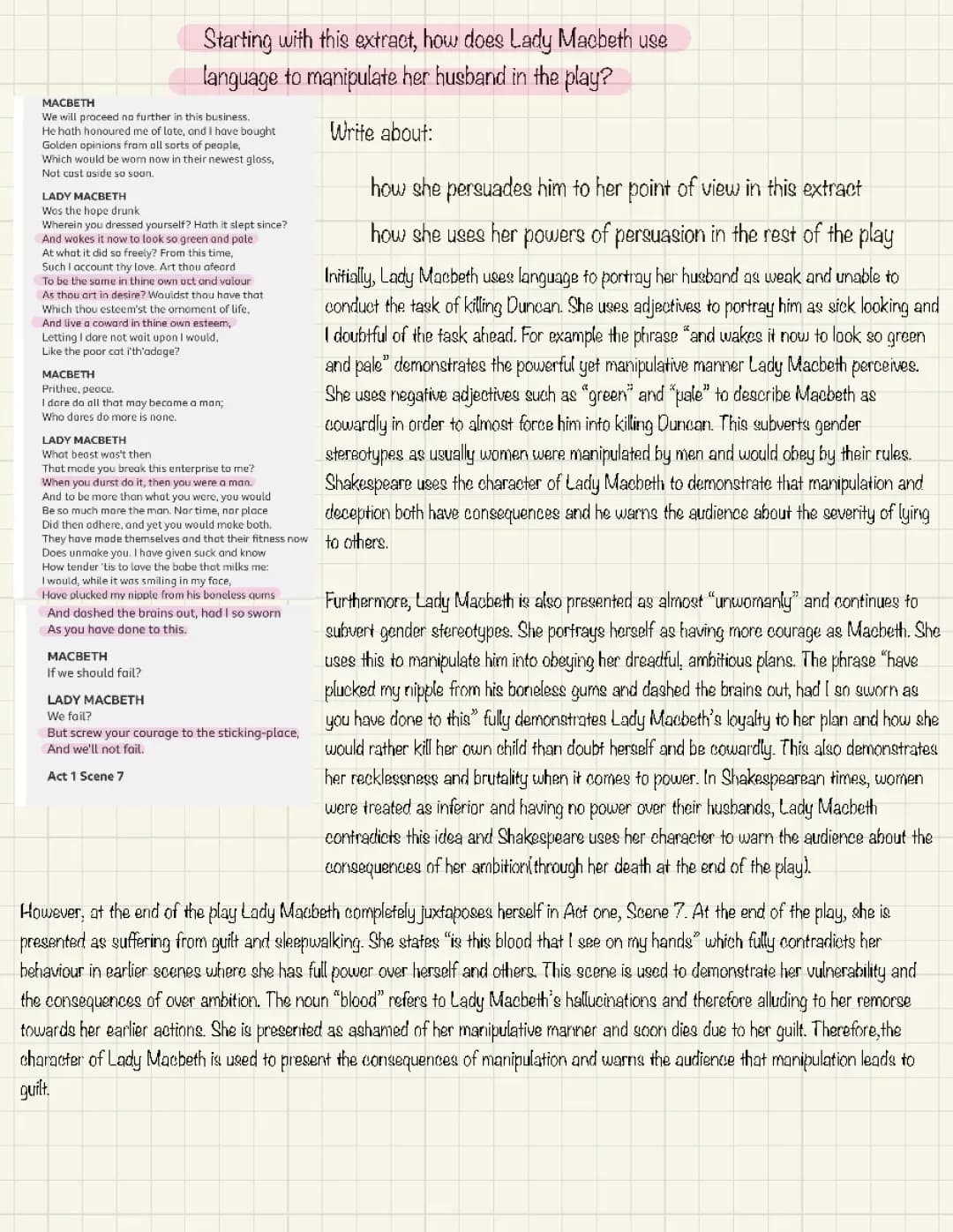Lady Macbeth essay
