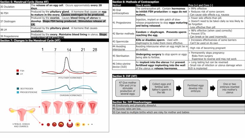 Biology 5: Homeostasis and Response
Section 1: Key Terms
1
Homeostasis
2 Negative
Feedback (HT)
Section 2a: Nerve
2 Central nervous
system (