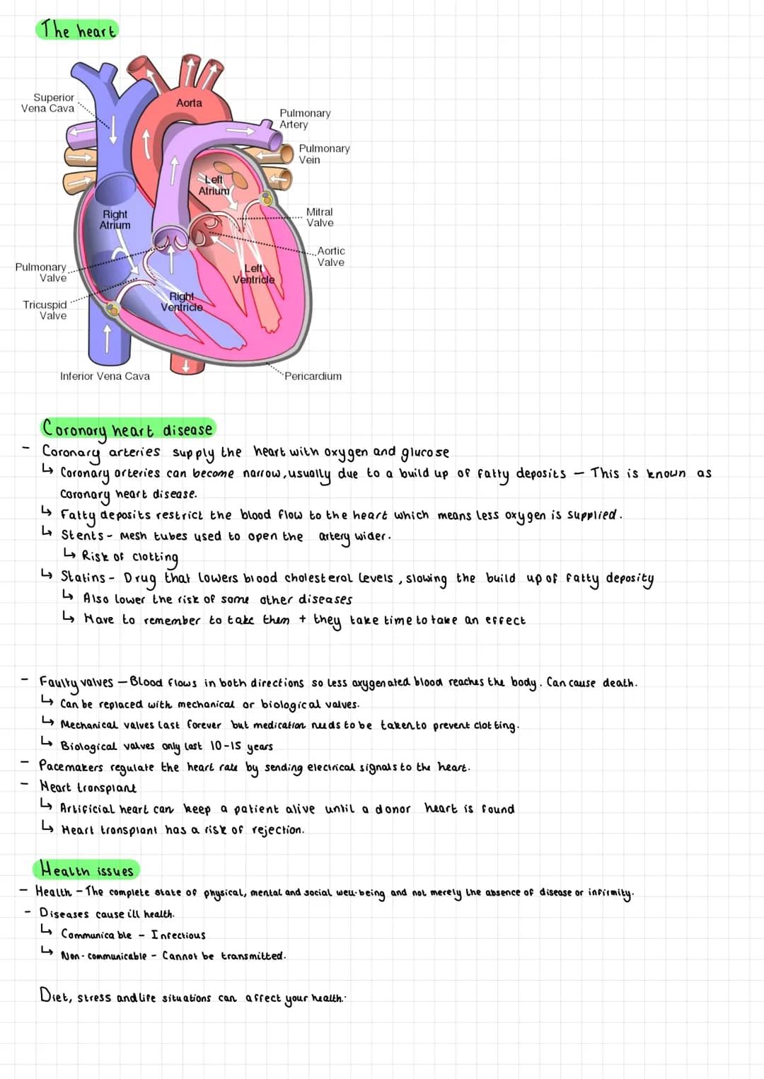 -
Cell organisation
Cells Tissues
Eg Epithelial cell
Organs
Organ Systems
→→→Organism
Epithelial tissue Stomach Digestive system Human
Diges