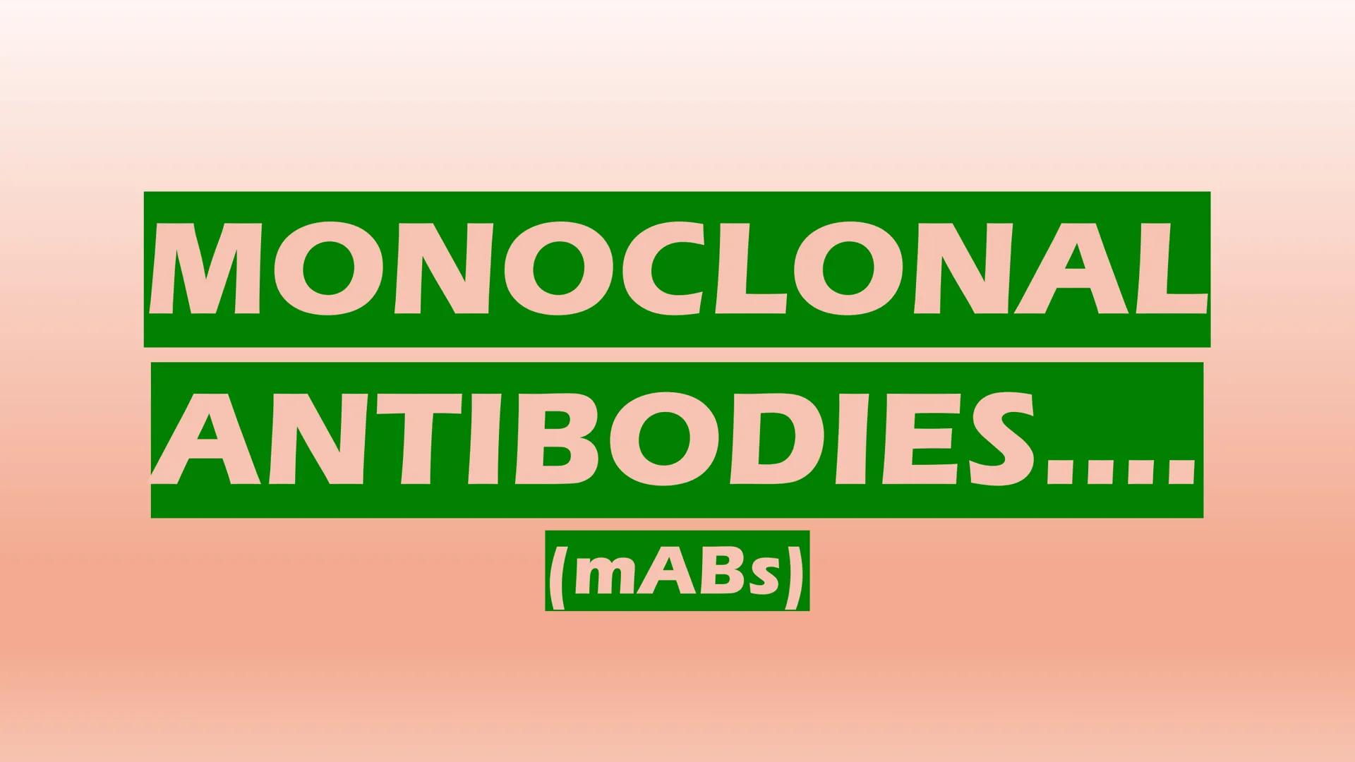 MONOCLONAL
ANTIBODIES....
(mABs) DESCRIPTION
●
• Monoclonal antibodies are produced from clones of
a white blood cell
• They are identical a