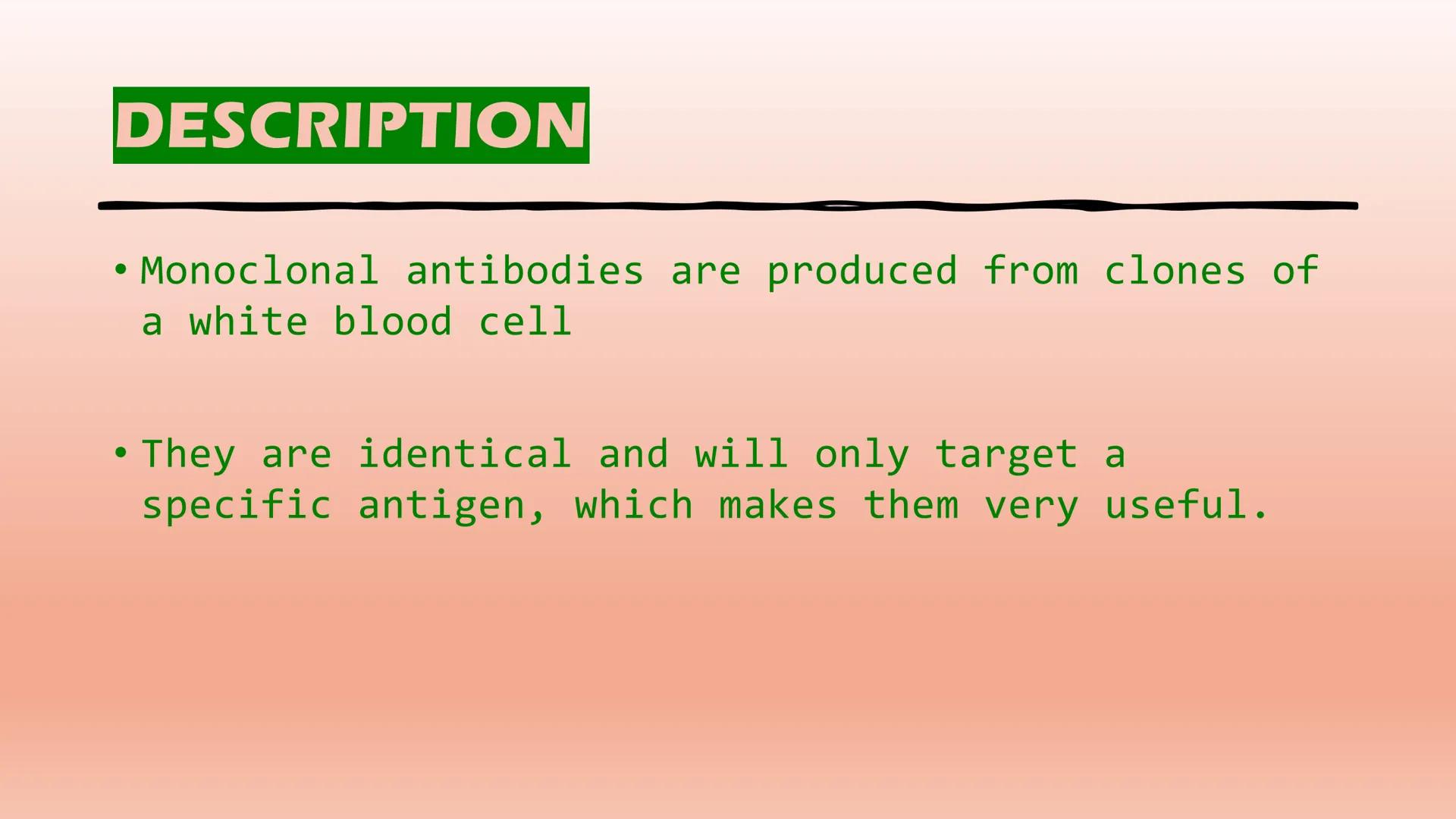 MONOCLONAL
ANTIBODIES....
(mABs) DESCRIPTION
●
• Monoclonal antibodies are produced from clones of
a white blood cell
• They are identical a
